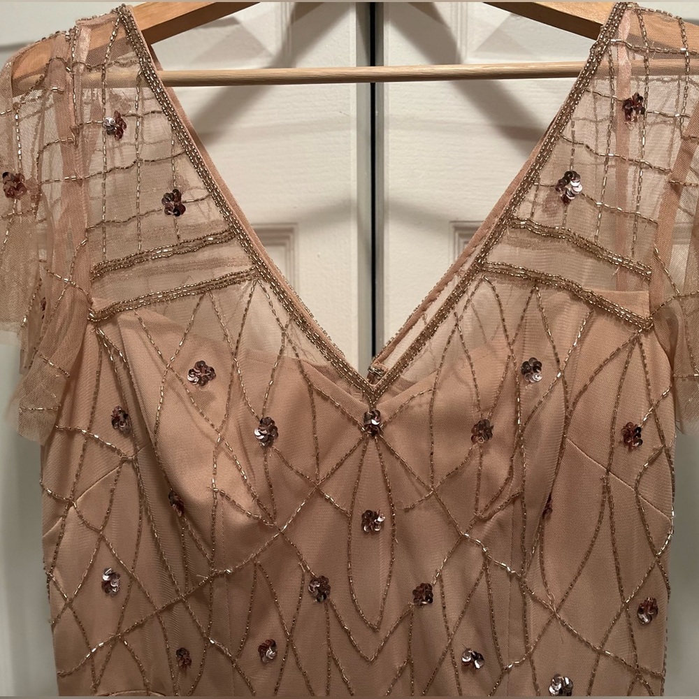 NWT! Adrianna Papell Women's Rose Blush Beaded Fit and Flare Dress. size 12 - Picture 4 of 4